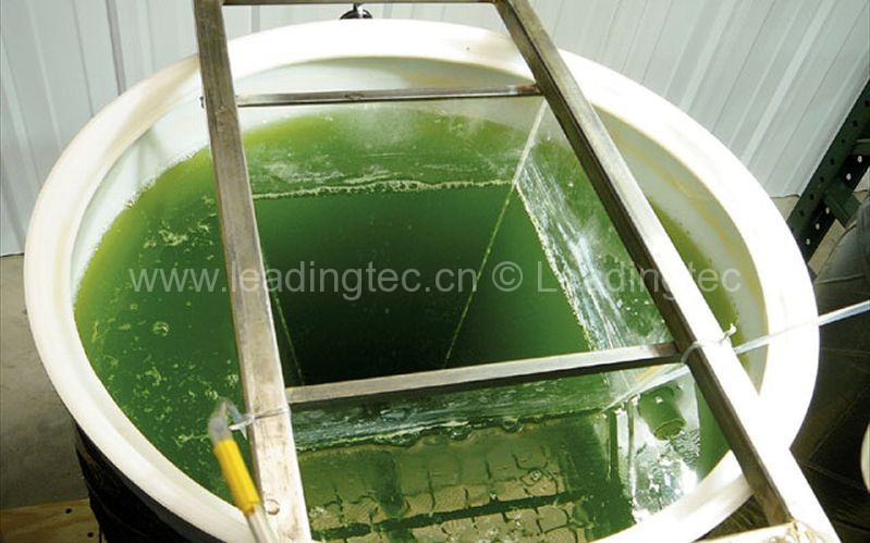 中空式光生物反應(yīng)器