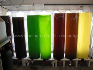 實(shí)驗室光生物培養(yǎng)器