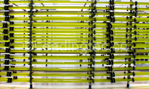 管道式藻類培養(yǎng)光生物反應器