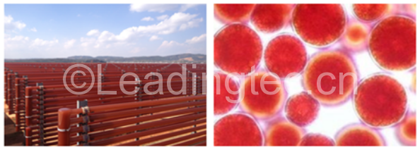 20151028130832_13110 (1)