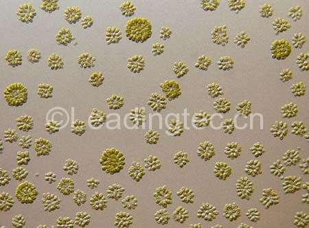 球等鞭金藻為等鞭金藻科、等鞭藻屬，咸水種、低溫性藻類植物。