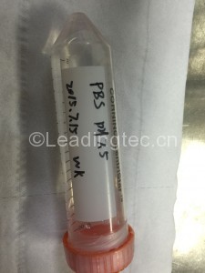 2-配制PBS懸浮清洗細胞