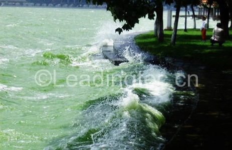 云南昆明滇池的藍藻水華爆發(fā)