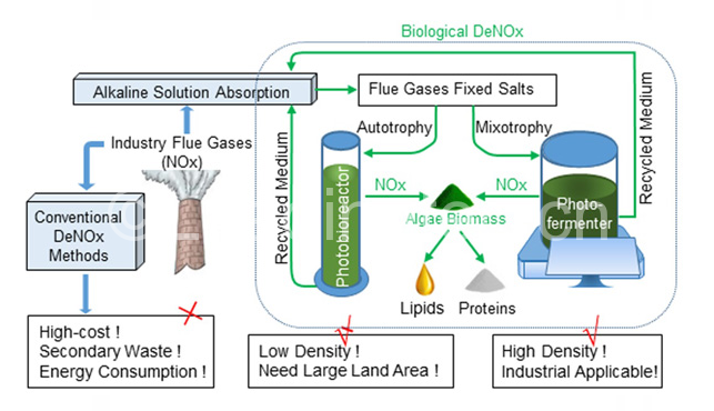 改進(jìn)的微藻生物脫硝、高附加值產(chǎn)品生產(chǎn)與生物柴油制備的聯(lián)合生產(chǎn)工藝