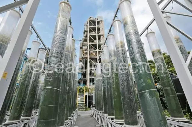 臺泥和平廠利用微藻進(jìn)行碳捕捉以達(dá)成生態(tài)減碳，并創(chuàng)造高經(jīng)濟(jì)價(jià)值的蝦紅素。