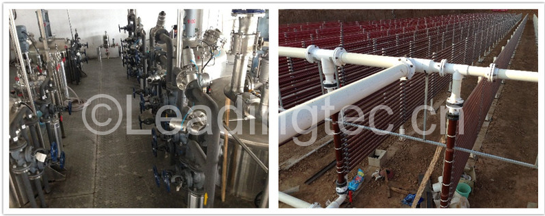 雨生紅球藻規(guī)?；愷B(yǎng)培養(yǎng)及光誘導基地實景圖