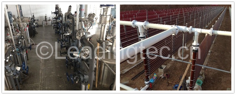 雨生紅球藻規(guī)模化異養(yǎng)培養(yǎng)及光誘導(dǎo)基地實(shí)景圖