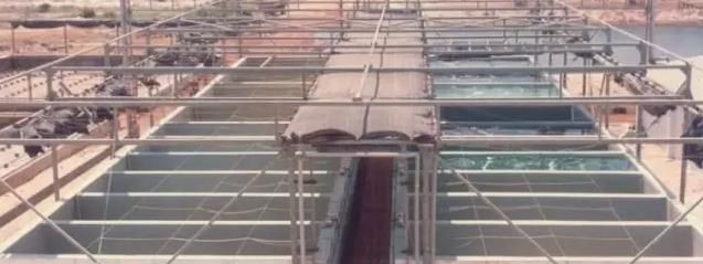 傳統(tǒng)培養(yǎng)