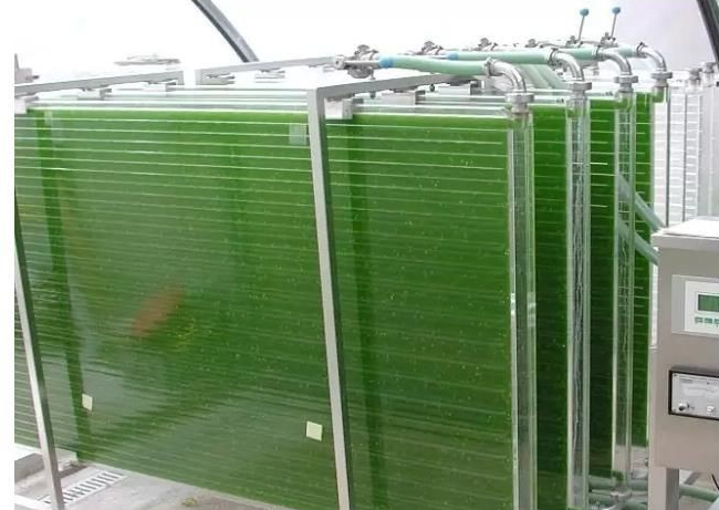 室內(nèi)新型培養(yǎng)