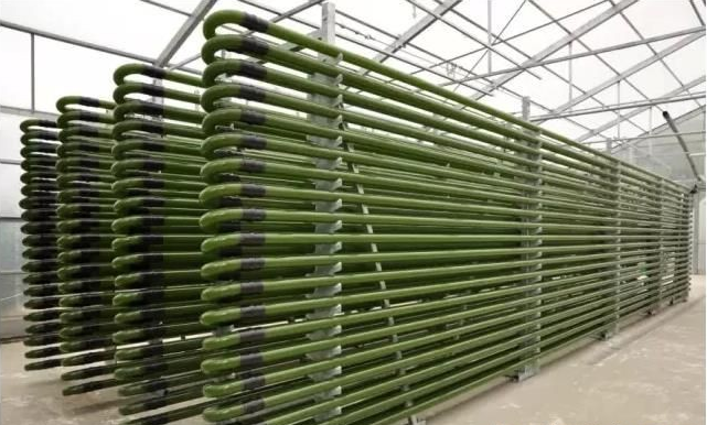 室內(nèi)新型培養(yǎng)