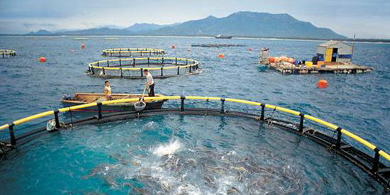 水產(chǎn)養(yǎng)殖業(yè)的綠色春天如果再不到來，恐怕就遲了。