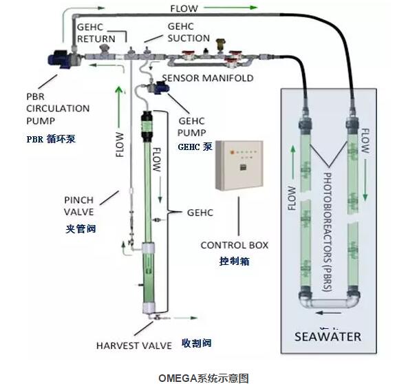 微藻處理OMEGA系統(tǒng)示意圖