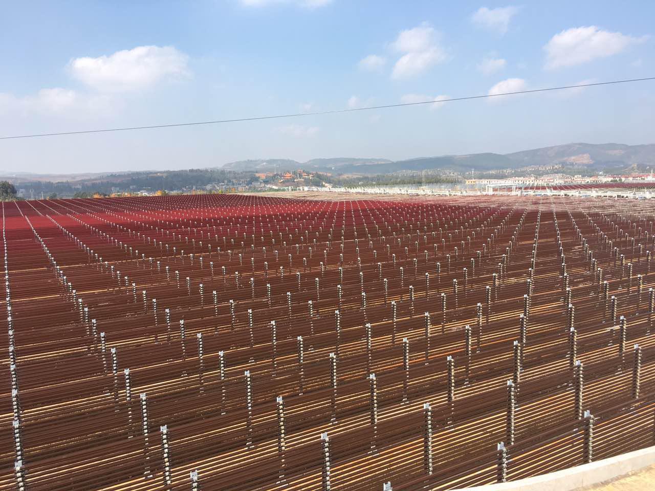 圖8. 云南石林愛生行公司雨生紅球藻養(yǎng)殖基地(管道式)