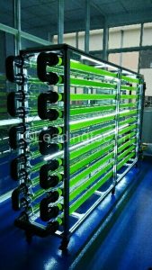 圖10. 光語公司研發(fā)的實(shí)驗(yàn)用管道式微藻光生物反應(yīng)器