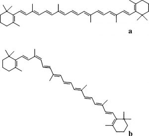 圖5.β-胡蘿卜素的兩種異構體。 a.9-cis-β-胡蘿卜素, b. all-trans-β-胡蘿卜素。 （*化學合成的β-胡蘿卜素均為全順式）