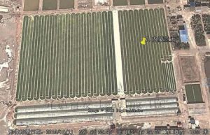 圖8.內蒙古蘭太公司的跑道池養(yǎng)殖基地（截圖自google earth）