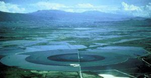 圖7.墨西哥Texcoco湖螺旋藻養(yǎng)殖場