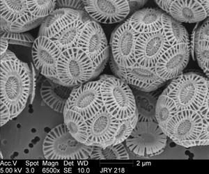 圖7.赫氏顆石藻（密集恐懼癥?。? width=