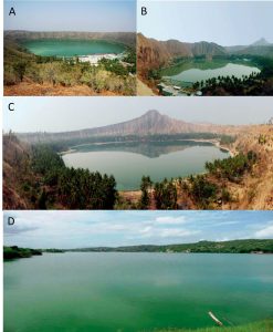 圖9.緬甸的天然螺旋藻湖泊。A．Twyn Taung火山湖，B.Twyn Ma火山湖，C. Taung Pyauk火山湖，D.Ye Kharr湖。（by Min Thein et al.）