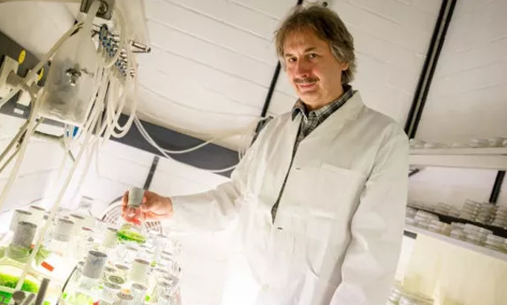 綠藻具有一種產(chǎn)生氫的酶，叫做氫化酶。Thomas Happe和他的同事一起在試管中提取出這種酶。