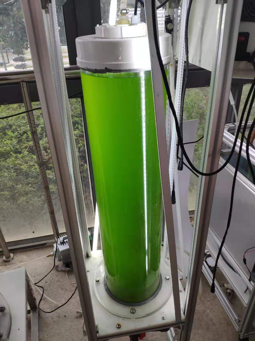 水產(chǎn)養(yǎng)殖擴(kuò)培用小球藻和培養(yǎng)基套裝產(chǎn)品 - 圖片 8