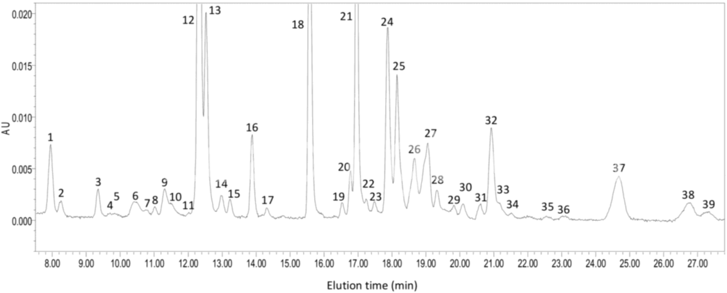 佐芬根色綠球藻Chromochloris zofingiensis