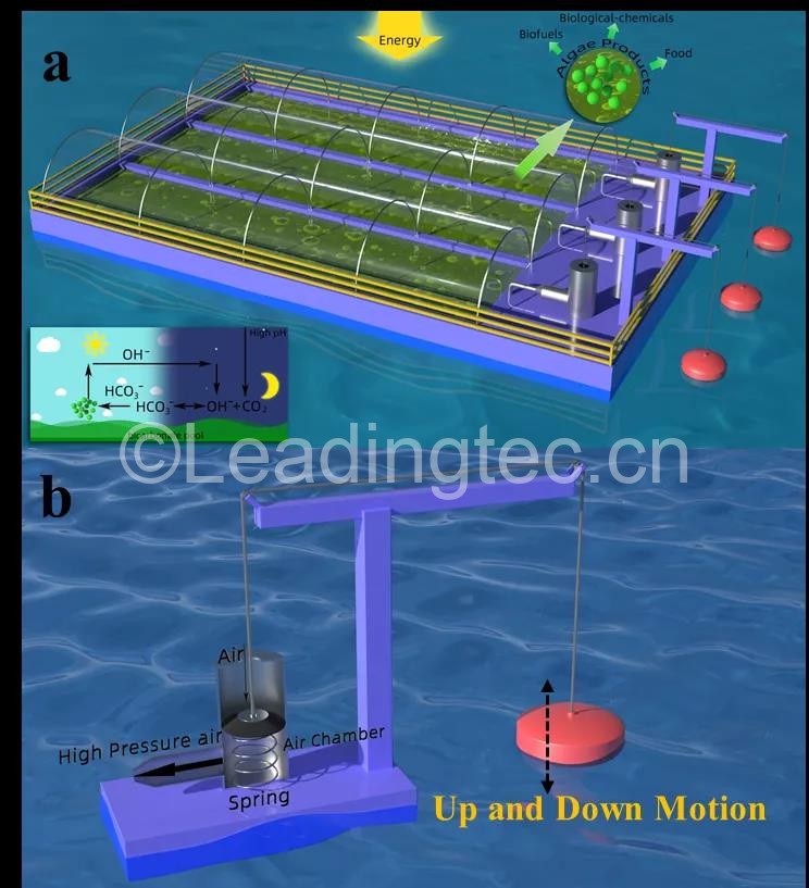 波浪能驅(qū)動(dòng)的高效海洋微藻農(nóng)場(chǎng)