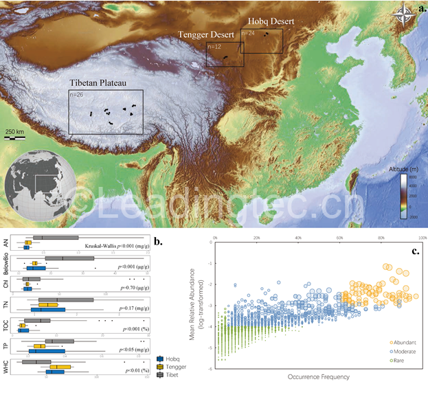 研究地點(diǎn)分布、土壤功能特征及光合自養(yǎng)各亞類群識(shí)別