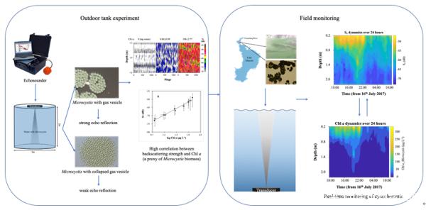 水聲學(xué)原位監(jiān)測微囊藻動態(tài)變化摘要圖