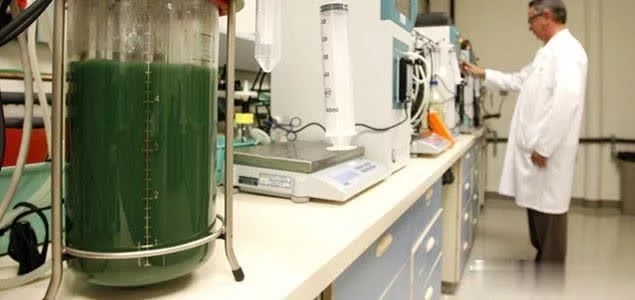 微藻可能成為可持續(xù)農(nóng)業(yè)的未來(lái)