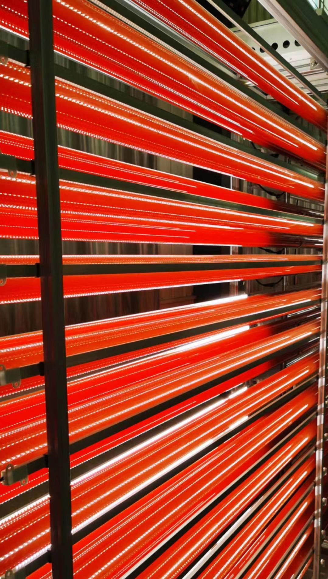 農業(yè)用光合細菌培養(yǎng)