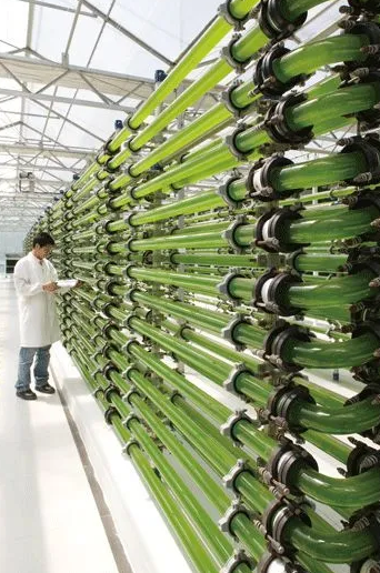 圖片來源：綠色中國(guó)雜志