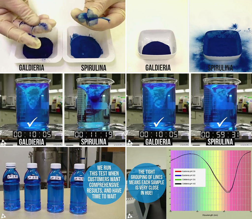  DDW公司從發(fā)酵G. sulphuraria中提取的藻藍(lán)蛋白產(chǎn)品。