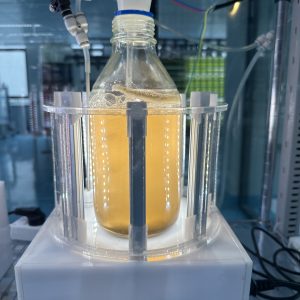 光語實驗室迷你反應(yīng)器