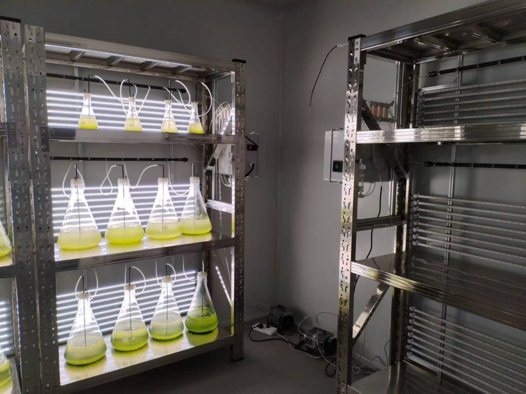 實(shí)驗(yàn)室專用！光語(yǔ)生物光照培養(yǎng)架GY-23PYJ-04