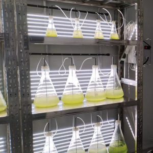 實(shí)驗(yàn)室專用！光語生物光照培養(yǎng)架GY-23PYJ-04