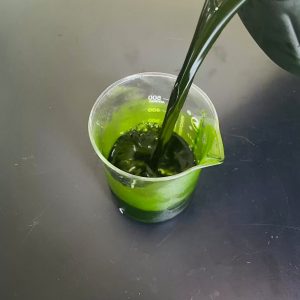 光語(yǔ)異養(yǎng)發(fā)酵罐小球藻藻液（120億細(xì)胞/ml）