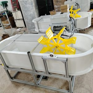 光語生物1000L跑道池GY-23PD-1000L