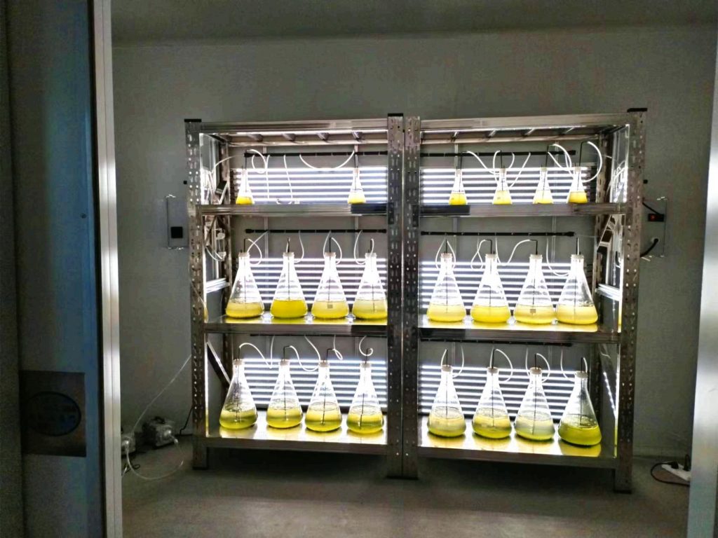 實(shí)驗(yàn)室專用！光語(yǔ)生物光照培養(yǎng)架GY-23PYJ-04