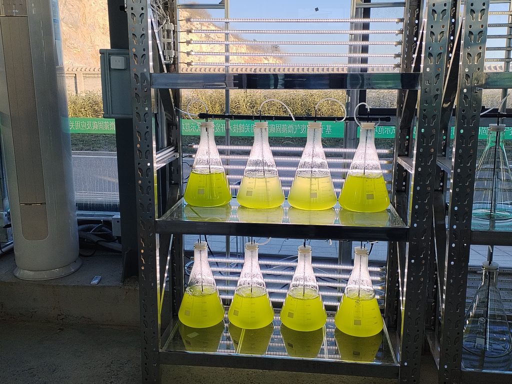 實(shí)驗(yàn)室專用！光語(yǔ)生物光照培養(yǎng)架GY-23PYJ-04