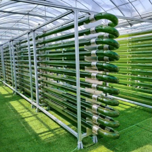 光語(yǔ)管道式反應(yīng)器