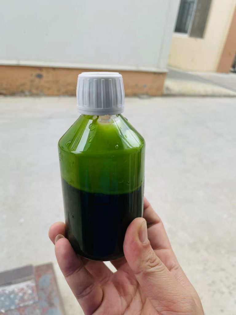 光語異養(yǎng)發(fā)酵罐小球藻藻液(120億細(xì)胞/ml)