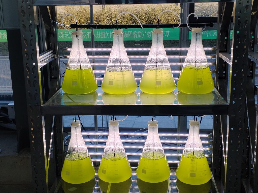 實(shí)驗(yàn)室專用！光語(yǔ)生物光照培養(yǎng)架GY-23PYJ-04