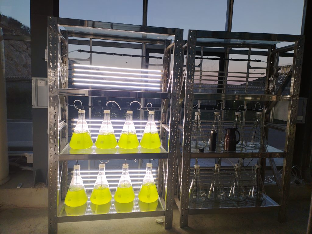 實(shí)驗(yàn)室專用！光語(yǔ)生物光照培養(yǎng)架GY-23PYJ-04