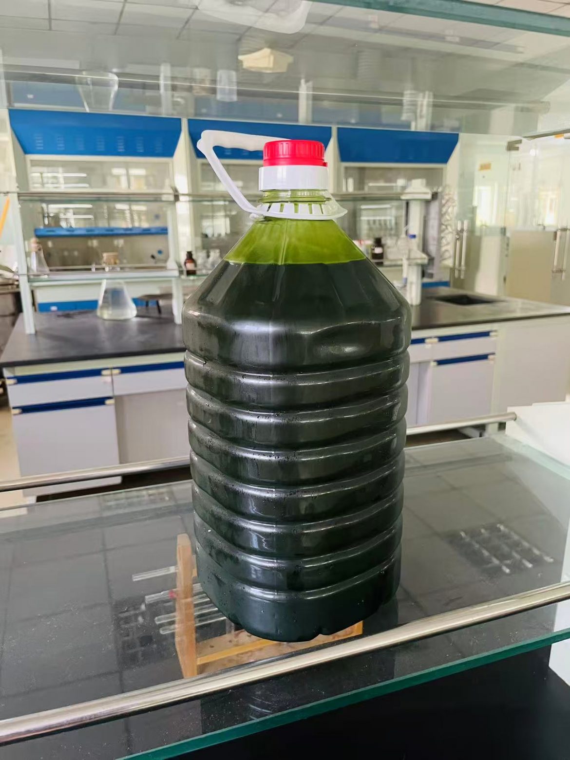 光語異養(yǎng)發(fā)酵罐小球藻藻液（120億細(xì)胞/ml）