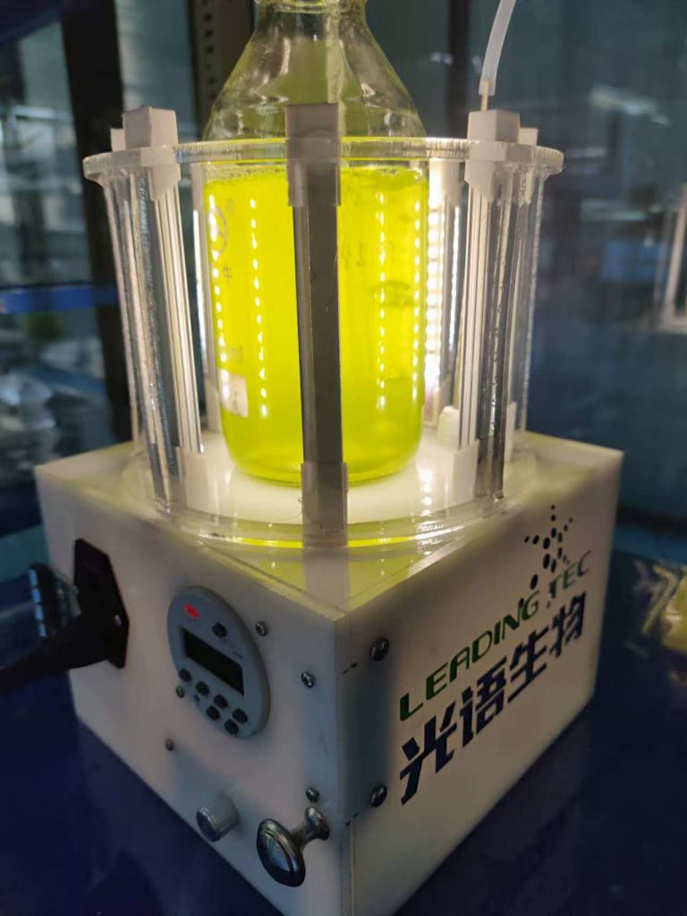 光語小型反應(yīng)器培養(yǎng)雨生紅球藻階段一