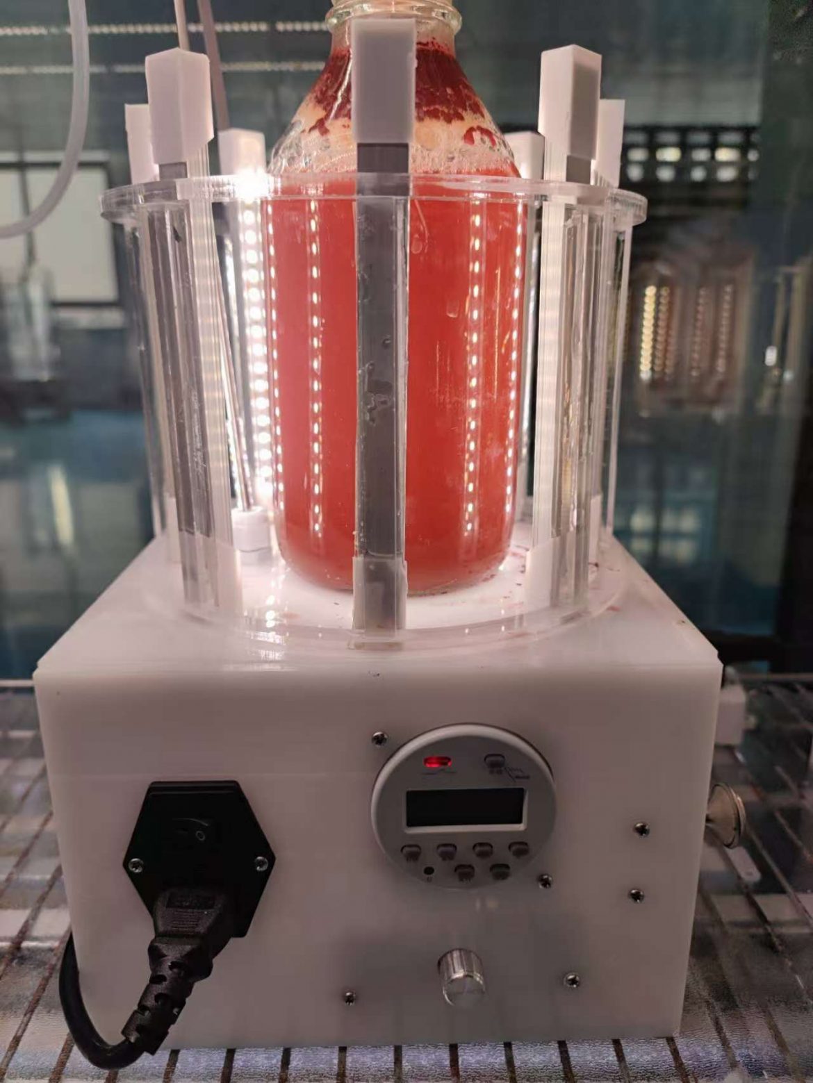 光語小型反應(yīng)器培養(yǎng)雨生紅球藻階段三