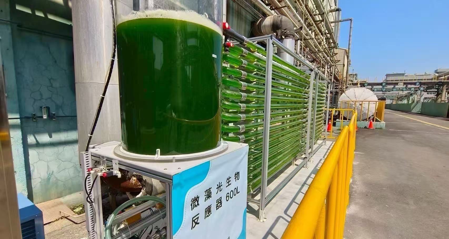 光語的工廠廢氣養(yǎng)藻系統(tǒng)方案取得巨大成功