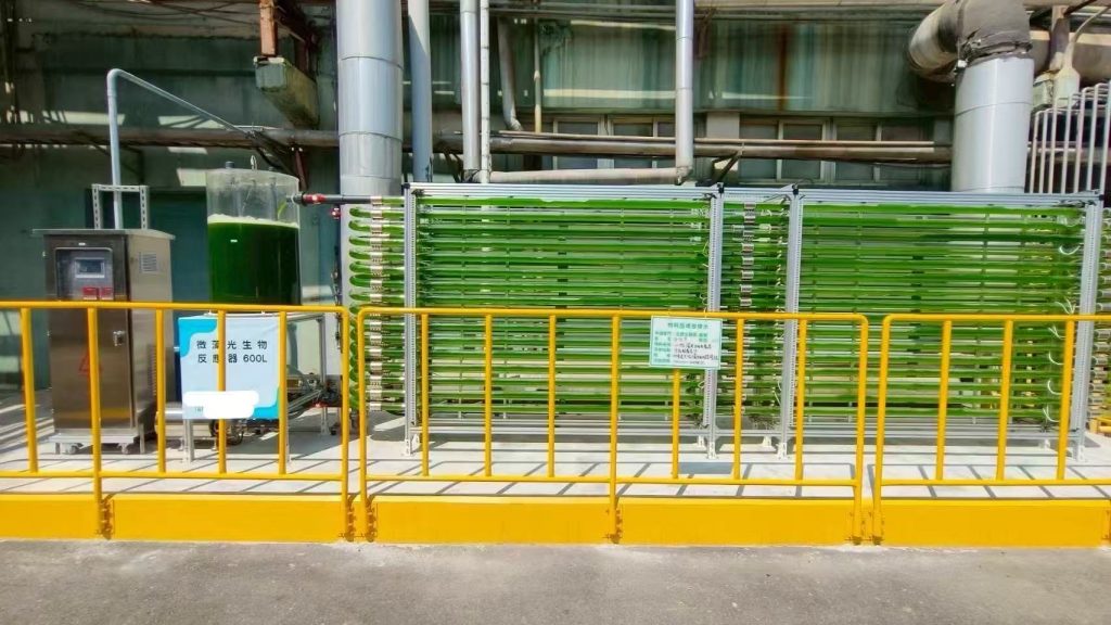 光語的工廠廢氣養(yǎng)藻系統(tǒng)方案取得巨大成功