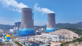 電廠如何用微藻固碳？